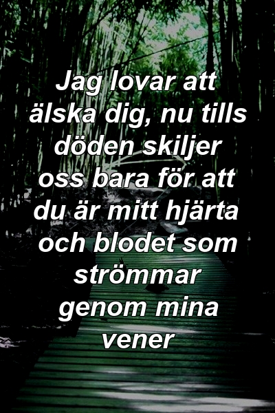 Jag lovar att älska dig, nu tills döden skiljer oss bara för att du är mitt hjärta och blodet som strömmar genom mina vener