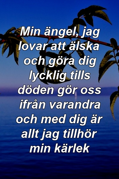 Min ängel, jag lovar att älska och göra dig lycklig tills döden gör oss ifrån varandra och med dig är allt jag tillhör min kärlek