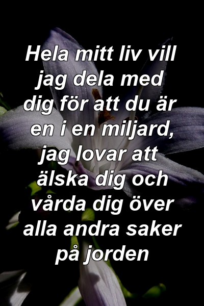 Hela mitt liv vill jag dela med dig för att du är en i en miljard, jag lovar att älska dig och vårda dig över alla andra saker på jorden