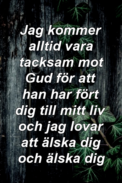 Jag kommer alltid vara tacksam mot Gud för att han har fört dig till mitt liv och jag lovar att älska dig och älska dig