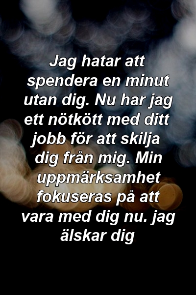 Jag hatar att spendera en minut utan dig. Nu har jag ett nötkött med ditt jobb för att skilja dig från mig. Min uppmärksamhet fokuseras på att vara med dig nu. jag älskar dig