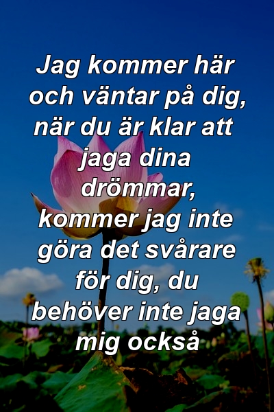 Jag kommer här och väntar på dig, när du är klar att jaga dina drömmar, kommer jag inte göra det svårare för dig, du behöver inte jaga mig också