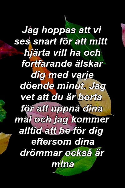 Jag hoppas att vi ses snart för att mitt hjärta vill ha och fortfarande älskar dig med varje döende minut. Jag vet att du är borta för att uppnå dina mål och jag kommer alltid att be för dig eftersom dina drömmar också är mina