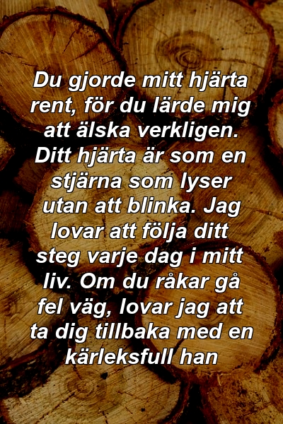 Du gjorde mitt hjärta rent, för du lärde mig att älska verkligen. Ditt hjärta är som en stjärna som lyser utan att blinka. Jag lovar att följa ditt steg varje dag i mitt liv. Om du råkar gå fel väg, lovar jag att ta dig tillbaka med en kärleksfull han