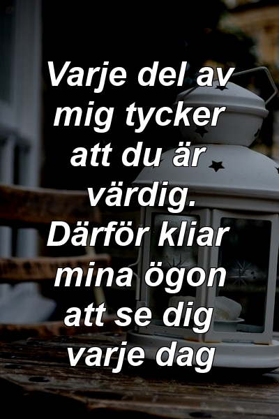 Varje del av mig tycker att du är värdig. Därför kliar mina ögon att se dig varje dag