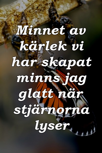 Minnet av kärlek vi har skapat minns jag glatt när stjärnorna lyser