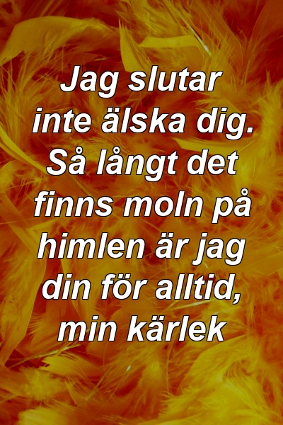 Jag slutar inte älska dig. Så långt det finns moln på himlen är jag din för alltid, min kärlek