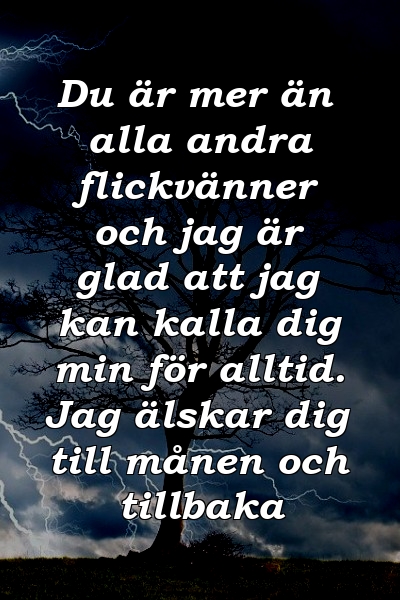 Du är mer än alla andra flickvänner och jag är glad att jag kan kalla dig min för alltid. Jag älskar dig till månen och tillbaka