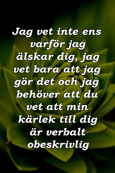 Jag vet inte ens varför jag älskar dig, jag vet bara att jag gör det och jag behöver att du vet att min kärlek till dig är verbalt obeskrivlig