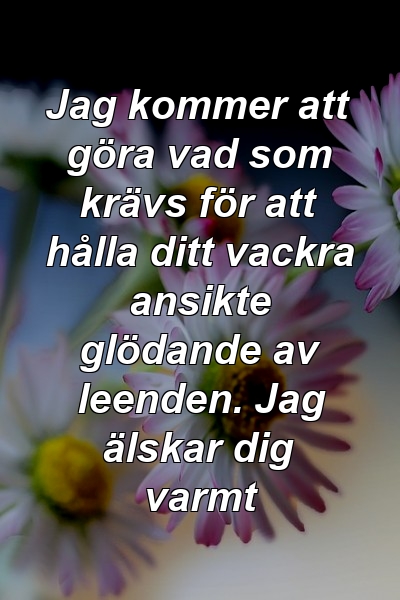 Jag kommer att göra vad som krävs för att hålla ditt vackra ansikte glödande av leenden. Jag älskar dig varmt