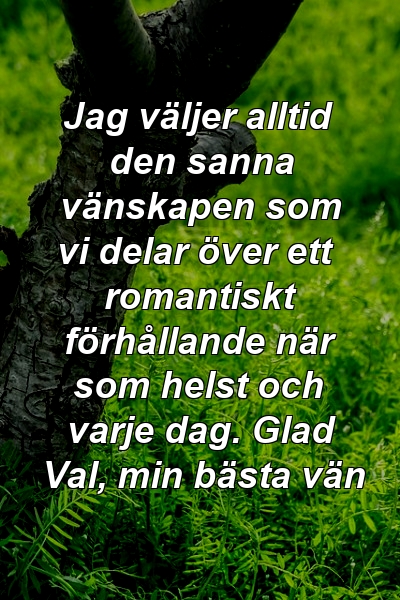 Jag väljer alltid den sanna vänskapen som vi delar över ett romantiskt förhållande när som helst och varje dag. Glad Val, min bästa vän