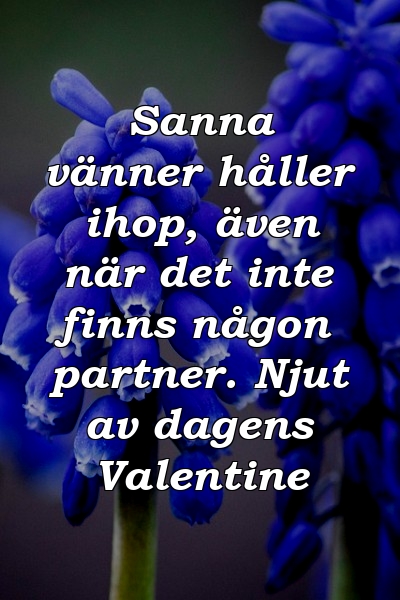 Sanna vänner håller ihop, även när det inte finns någon partner. Njut av dagens Valentine