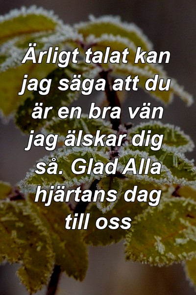 Ärligt talat kan jag säga att du är en bra vän jag älskar dig så. Glad Alla hjärtans dag till oss