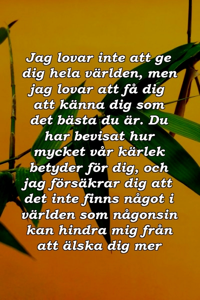 Jag lovar inte att ge dig hela världen, men jag lovar att få dig att känna dig som det bästa du är. Du har bevisat hur mycket vår kärlek betyder för dig, och jag försäkrar dig att det inte finns något i världen som någonsin kan hindra mig från att älska dig mer