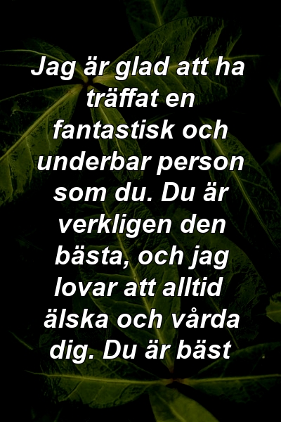 Jag är glad att ha träffat en fantastisk och underbar person som du. Du är verkligen den bästa, och jag lovar att alltid älska och vårda dig. Du är bäst