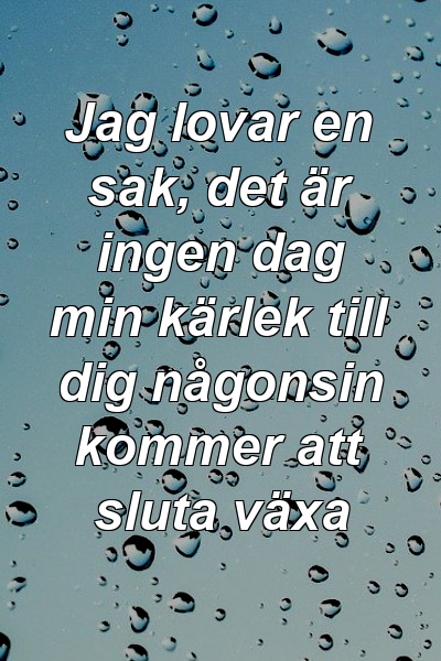 Jag lovar en sak, det är ingen dag min kärlek till dig någonsin kommer att sluta växa