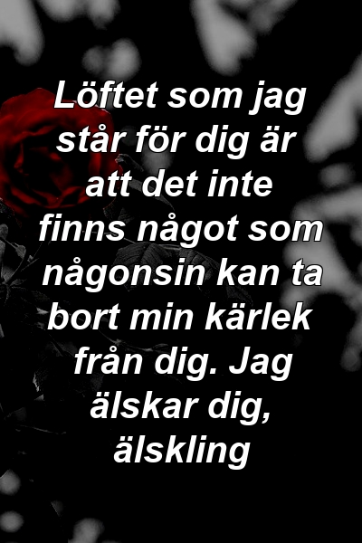 Löftet som jag står för dig är att det inte finns något som någonsin kan ta bort min kärlek från dig. Jag älskar dig, älskling