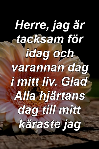 Herre, jag är tacksam för idag och varannan dag i mitt liv. Glad Alla hjärtans dag till mitt käraste jag