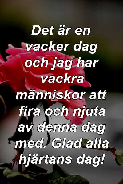 Det är en vacker dag och jag har vackra människor att fira och njuta av denna dag med. Glad alla hjärtans dag!