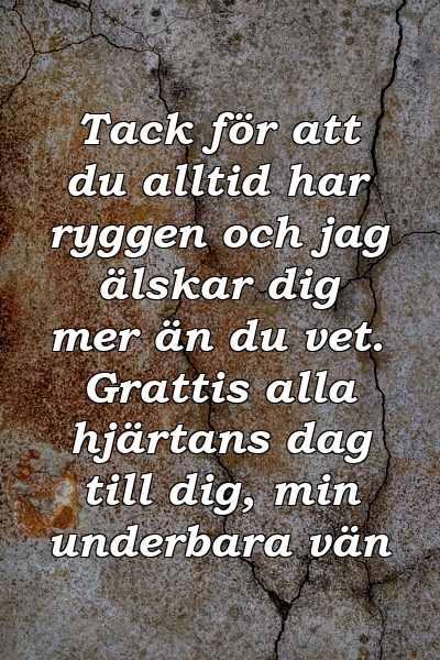 Tack för att du alltid har ryggen och jag älskar dig mer än du vet. Grattis alla hjärtans dag till dig, min underbara vän