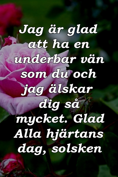 Jag är glad att ha en underbar vän som du och jag älskar dig så mycket. Glad Alla hjärtans dag, solsken