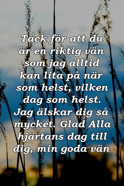 Tack för att du är en riktig vän som jag alltid kan lita på när som helst, vilken dag som helst. Jag älskar dig så mycket. Glad Alla hjärtans dag till dig, min goda vän