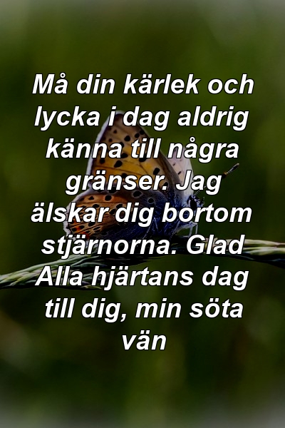 Må din kärlek och lycka i dag aldrig känna till några gränser. Jag älskar dig bortom stjärnorna. Glad Alla hjärtans dag till dig, min söta vän