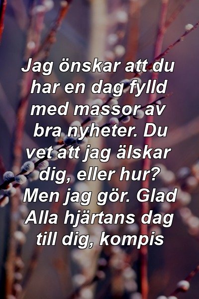 Jag önskar att du har en dag fylld med massor av bra nyheter. Du vet att jag älskar dig, eller hur? Men jag gör. Glad Alla hjärtans dag till dig, kompis