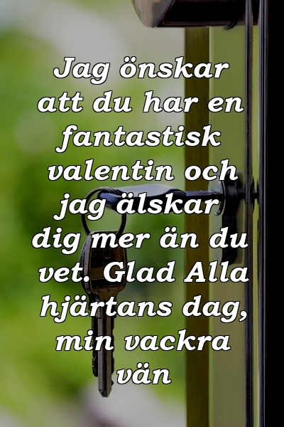 Jag önskar att du har en fantastisk valentin och jag älskar dig mer än du vet. Glad Alla hjärtans dag, min vackra vän