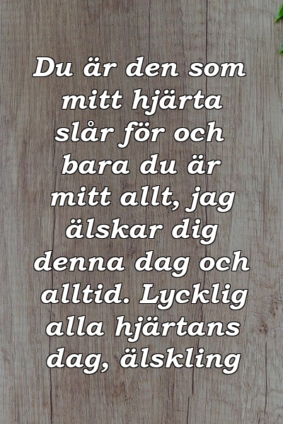 Du är den som mitt hjärta slår för och bara du är mitt allt, jag älskar dig denna dag och alltid. Lycklig alla hjärtans dag, älskling