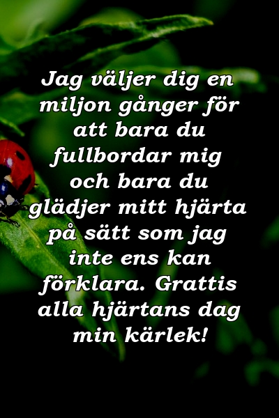 Jag väljer dig en miljon gånger för att bara du fullbordar mig och bara du glädjer mitt hjärta på sätt som jag inte ens kan förklara. Grattis alla hjärtans dag min kärlek!