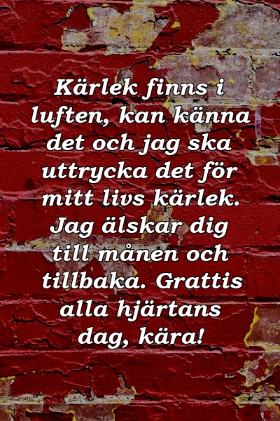 Kärlek finns i luften, kan känna det och jag ska uttrycka det för mitt livs kärlek. Jag älskar dig till månen och tillbaka. Grattis alla hjärtans dag, kära!