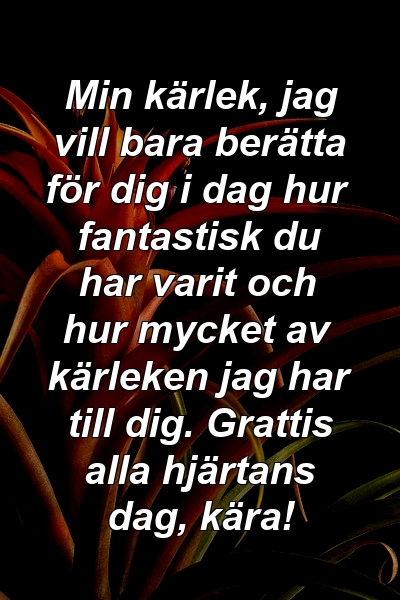 Min kärlek, jag vill bara berätta för dig i dag hur fantastisk du har varit och hur mycket av kärleken jag har till dig. Grattis alla hjärtans dag, kära!