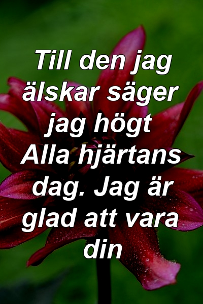 Till den jag älskar säger jag högt Alla hjärtans dag. Jag är glad att vara din