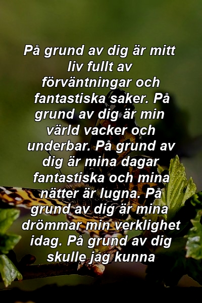 På grund av dig är mitt liv fullt av förväntningar och fantastiska saker. På grund av dig är min värld vacker och underbar. På grund av dig är mina dagar fantastiska och mina nätter är lugna. På grund av dig är mina drömmar min verklighet idag. På grund av dig skulle jag kunna