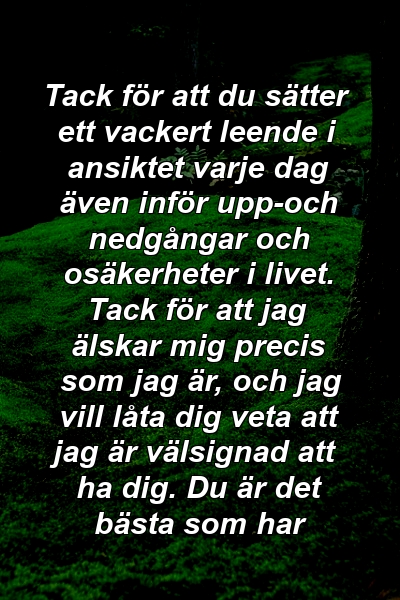 Tack för att du sätter ett vackert leende i ansiktet varje dag även inför upp-och nedgångar och osäkerheter i livet. Tack för att jag älskar mig precis som jag är, och jag vill låta dig veta att jag är välsignad att ha dig. Du är det bästa som har