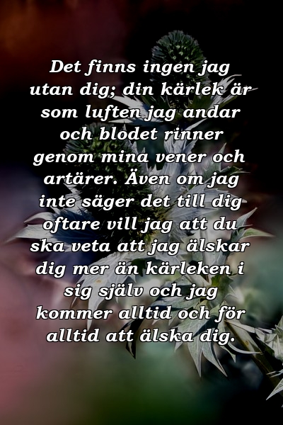 Det finns ingen jag utan dig; din kärlek är som luften jag andar och blodet rinner genom mina vener och artärer. Även om jag inte säger det till dig oftare vill jag att du ska veta att jag älskar dig mer än kärleken i sig själv och jag kommer alltid och för alltid att älska dig.