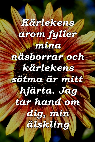 Kärlekens arom fyller mina näsborrar och kärlekens sötma är mitt hjärta. Jag tar hand om dig, min älskling