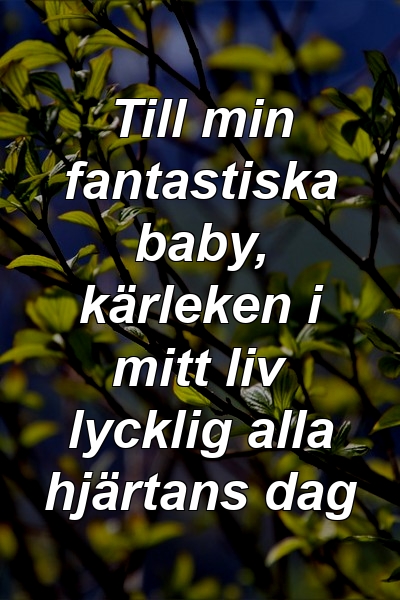 Till min fantastiska baby, kärleken i mitt liv lycklig alla hjärtans dag