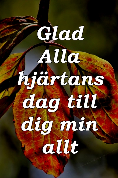 Glad Alla hjärtans dag till dig min allt