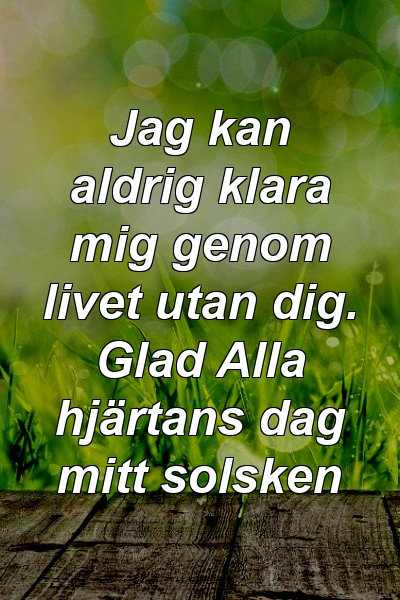 Jag kan aldrig klara mig genom livet utan dig. Glad Alla hjärtans dag mitt solsken