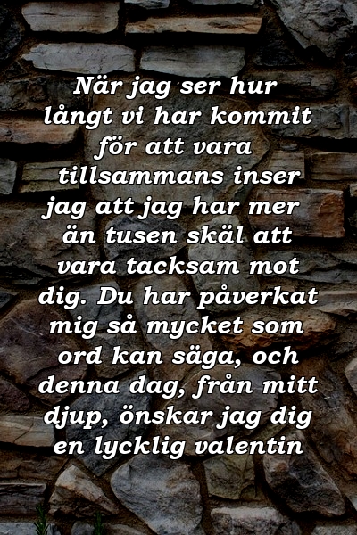 När jag ser hur långt vi har kommit för att vara tillsammans inser jag att jag har mer än tusen skäl att vara tacksam mot dig. Du har påverkat mig så mycket som ord kan säga, och denna dag, från mitt djup, önskar jag dig en lycklig valentin