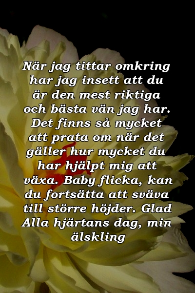 När jag tittar omkring har jag insett att du är den mest riktiga och bästa vän jag har. Det finns så mycket att prata om när det gäller hur mycket du har hjälpt mig att växa. Baby flicka, kan du fortsätta att sväva till större höjder. Glad Alla hjärtans dag, min älskling