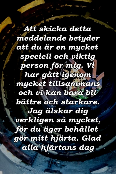 Att skicka detta meddelande betyder att du är en mycket speciell och viktig person för mig. Vi har gått igenom mycket tillsammans och vi kan bara bli bättre och starkare. Jag älskar dig verkligen så mycket, för du äger behållet gör mitt hjärta. Glad alla hjärtans dag