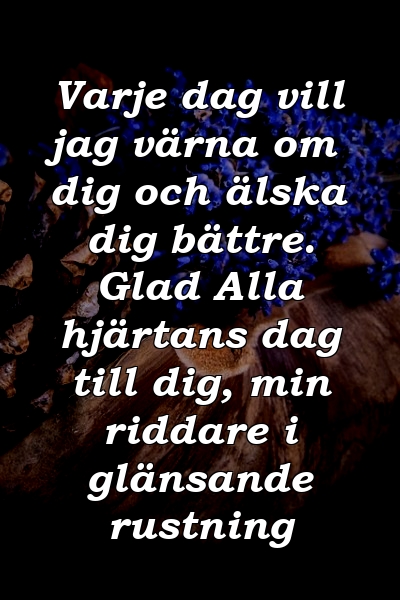 Varje dag vill jag värna om dig och älska dig bättre. Glad Alla hjärtans dag till dig, min riddare i glänsande rustning