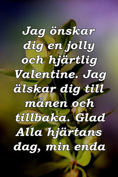 Jag önskar dig en jolly och hjärtlig Valentine. Jag älskar dig till månen och tillbaka. Glad Alla hjärtans dag, min enda