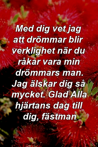 Med dig vet jag att drömmar blir verklighet när du råkar vara min drömmars man. Jag älskar dig så mycket. Glad Alla hjärtans dag till dig, fästman