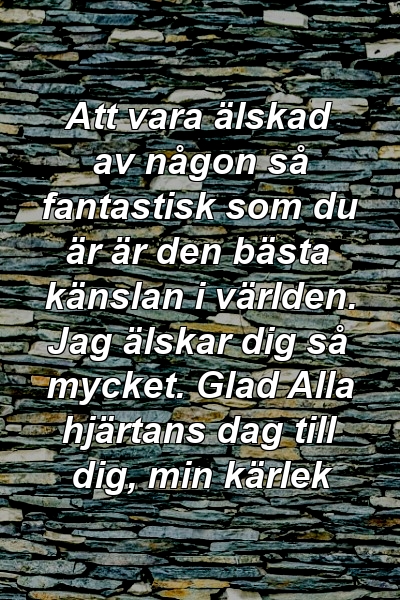 Att vara älskad av någon så fantastisk som du är är den bästa känslan i världen. Jag älskar dig så mycket. Glad Alla hjärtans dag till dig, min kärlek