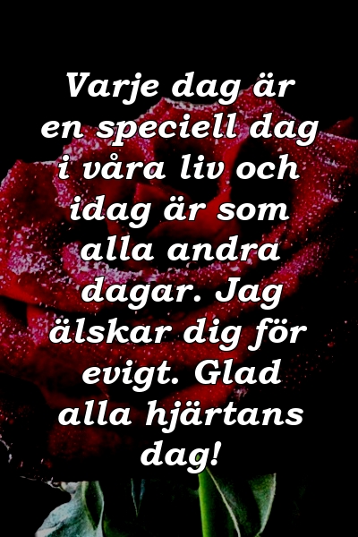 Varje dag är en speciell dag i våra liv och idag är som alla andra dagar. Jag älskar dig för evigt. Glad alla hjärtans dag!