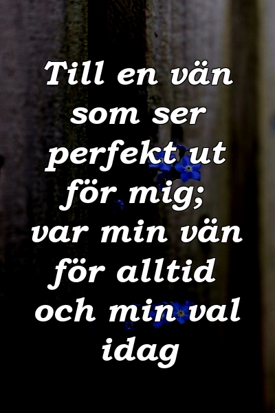 Till en vän som ser perfekt ut för mig; var min vän för alltid och min val idag